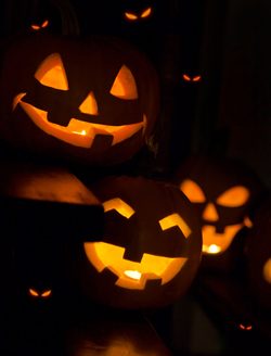celebrate|French|halloween|Paris|property