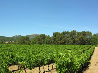 French vineyard properties|French vineyards