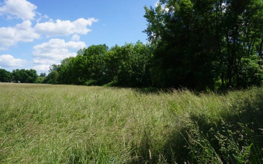 Building land of 2.8 hectares