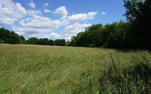 Building land of 2.8 hectares