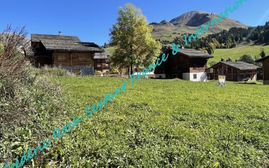 Rare building plot at the entrance of Le Chinaillon
