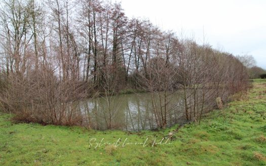 For stone and renovation enthusiasts – 149 sqm stone house – 3,651 sqm plot of land