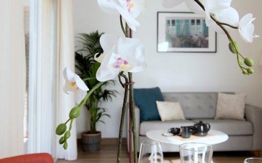 RENTAL INVESTMENT – Le Revest-les-Eaux – Les Jardins du Revest Assisted Living Residence –8.30 % return