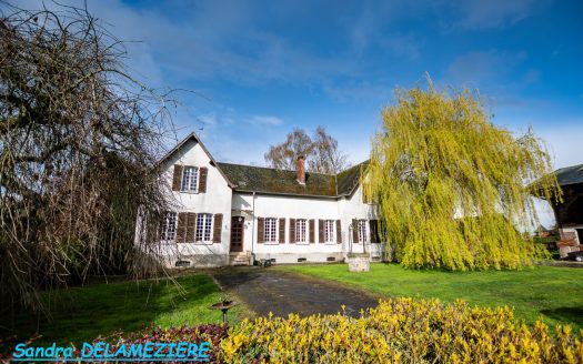 Property with character