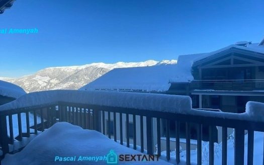 Luxury bright-hotel trade- 2 rooms apartment- 40,10 sqsqm carrez with terrace -73120 Couchevel 1650.