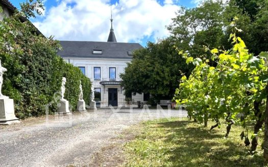STONE MANOR HOUSE – 488 SQUARE METERS OF LIVING SPACE – 5 BEDROOMS – 2,610-SQUARE-METER GARDEN – COGNAC