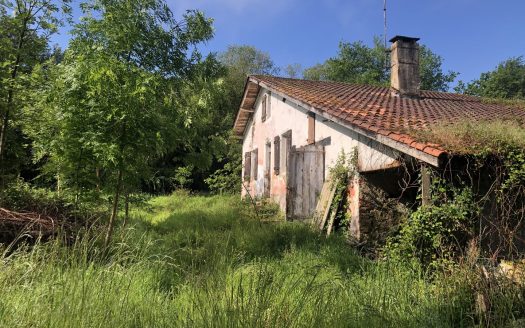 Authentic 18th-Century Landaise Farmhouse to Renovate
