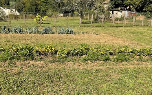 Village house with 4 bedrooms and lovely fenced garden 455 M2