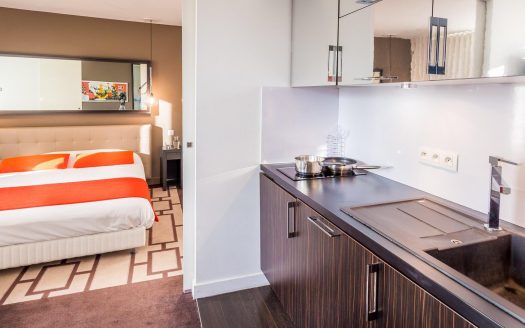 RENTAL INVESTMENT – GRENOBLE – Adagio Grenoble Centre Business Residence – 6.52% return