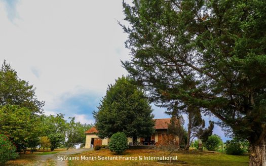 Single-story house with quiet grounds