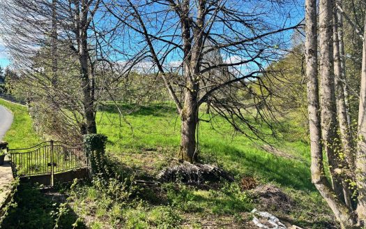 Detached house with 4 bedrooms, 2 bathrooms, Large Garden 14,840sqm