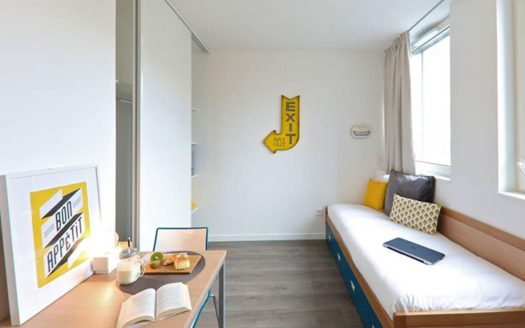 RENTAL INVESTMENT – Paris 13th arrondissement – Le Palatino student residence – 6.02% return