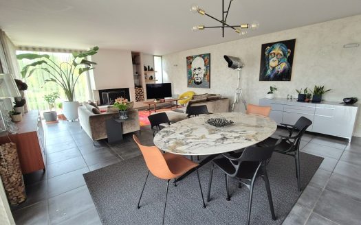 Modern and bright house, 4 bedrooms, double garage, landscaped garden