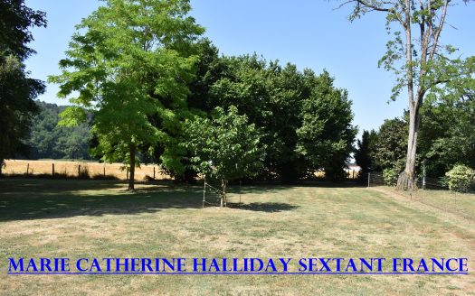 CHARMING PROPERTY WITH DIRECT RIVER ACCESS NEAR PERIGUEUX