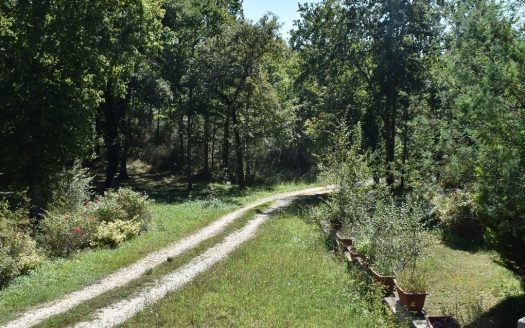 Ptional property enjoying absolute tranquility, within a sumptuous 5-hectare park, a true haven of greenery.