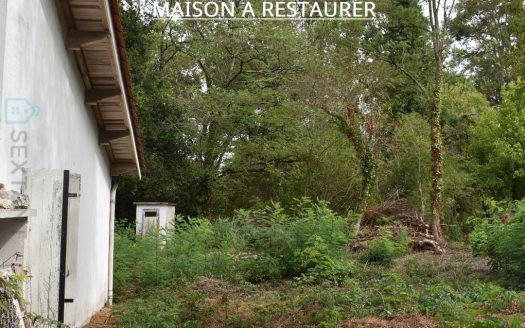 QUIET TWO-BEDROOM SINGLE-STOREY HOUSE NEAR THE RIVER TO RESTORE