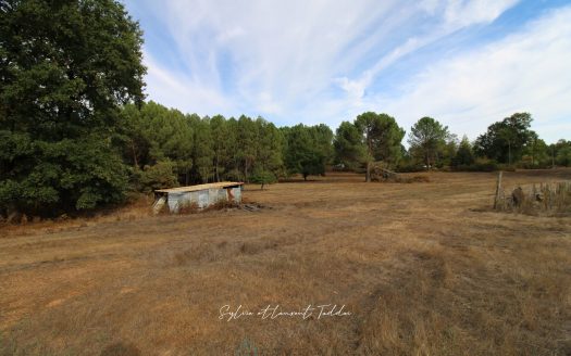 6.07 HECTARES: A PROPERTY THAT HAS BECOME RARE ON THE MARKET