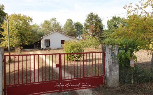 6.07 HECTARES: A PROPERTY THAT HAS BECOME RARE ON THE MARKET