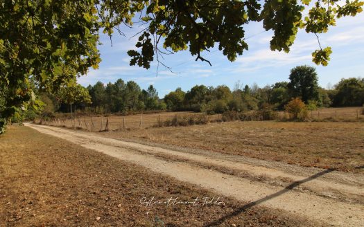 6.07 HECTARES: A PROPERTY THAT HAS BECOME RARE ON THE MARKET