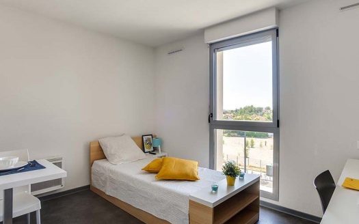 RENTAL INVESTMENT – Courbevoie – Cerdana Student Residence – 5% return
