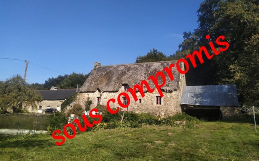 Pretty cottage in the countryside with swimming pool