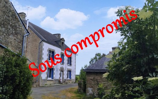 Attractive house and farm buildings to renovate