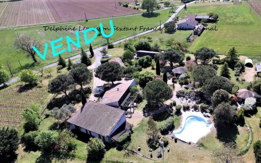 Complex with main house, 4 unique B&B lodgings, a gite, a pool and vineyard