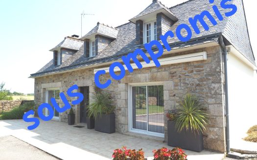 Renovated stone house