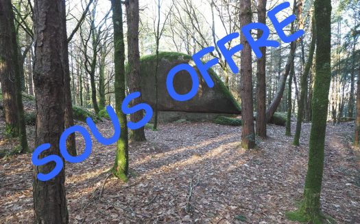 Wooded land of 5.76 hectares