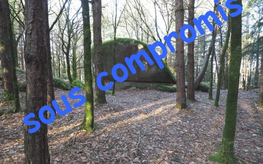 Wooded land of 5.76 hectares
