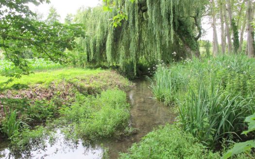 OLD MILL RESTORED – 187 M2 – 6 PIECES