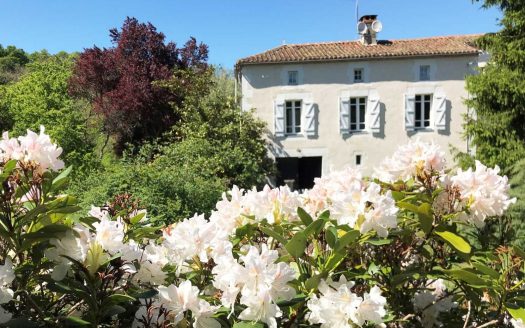 HOUSE OF 238M² ON A LAND OF 2.5 HA