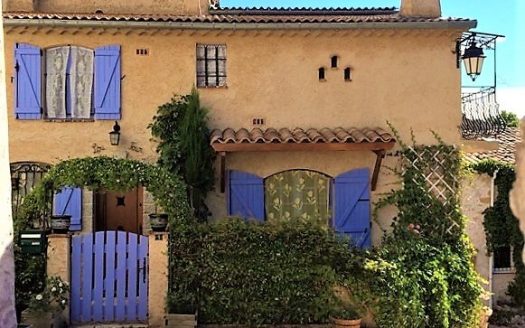 Charming village house in Briançonnet