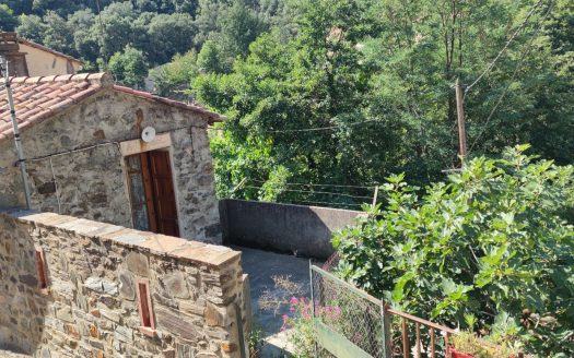 House to renovate with outbuilding