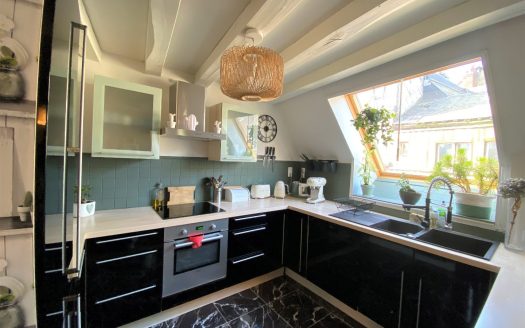 Superb duplex center Rouen right bank