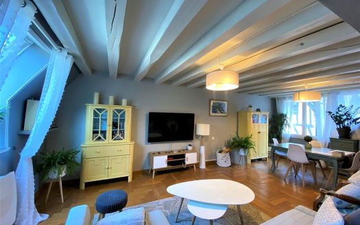 Superb duplex center Rouen right bank