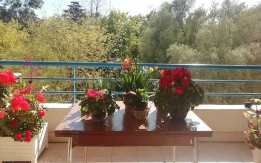 Quiet two-bedroom apartment with 12 sqm terrace with park view