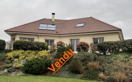Beautiful contemporary house of 220 sqm on 2300 sqm of land