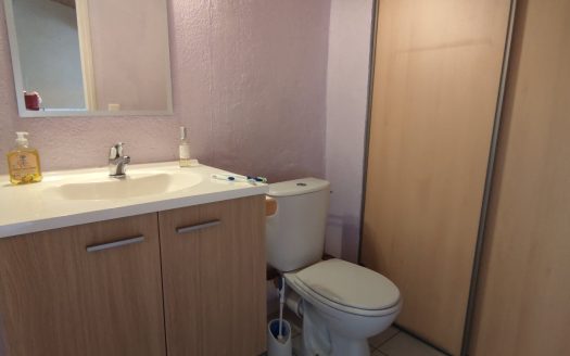 3/4 room Character Village house