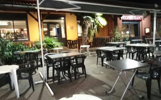 Cafe restaurant business