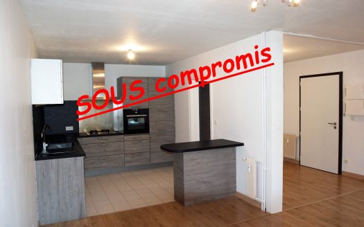 Opportunity, ground floor apartment type 4 with garage