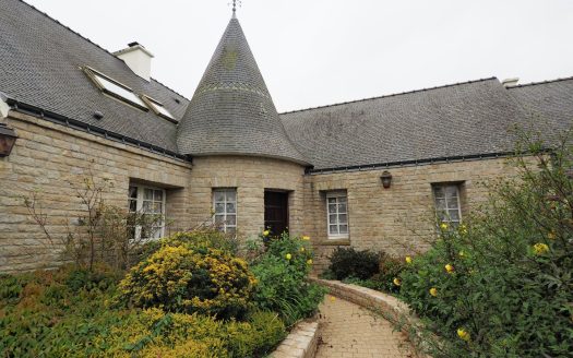 Large character house