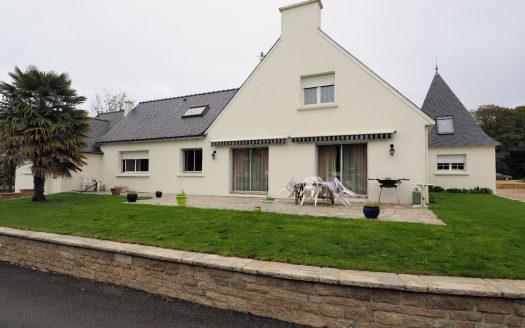 Large character house