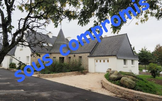 Large character house