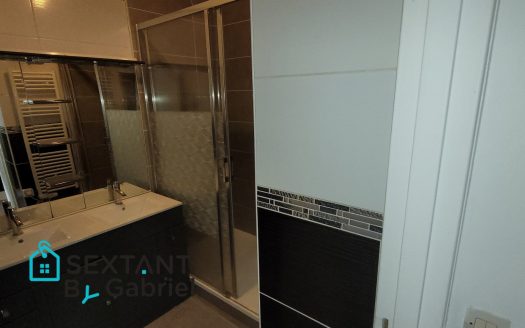 Apartment in the city center