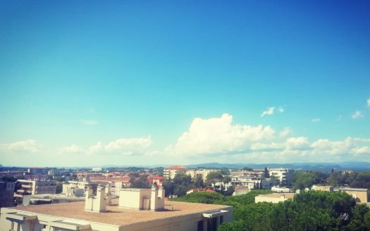 Panoramic view