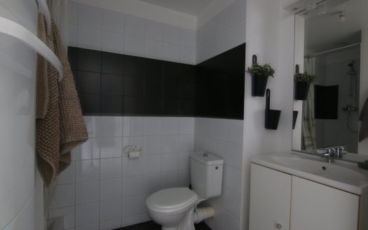 Furnished and renovated studio ready to rent
