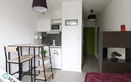 Furnished and renovated studio ready to rent