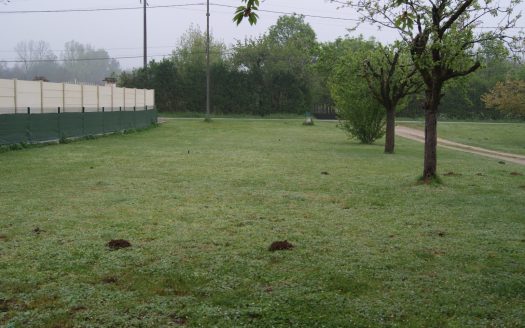 TTerrain à construire sous le soleil de Montignac-Charente à côté de Champniers et Angoulême