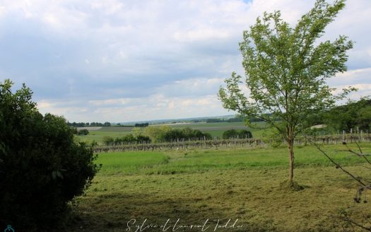 Stone house – unopposed and out of sight